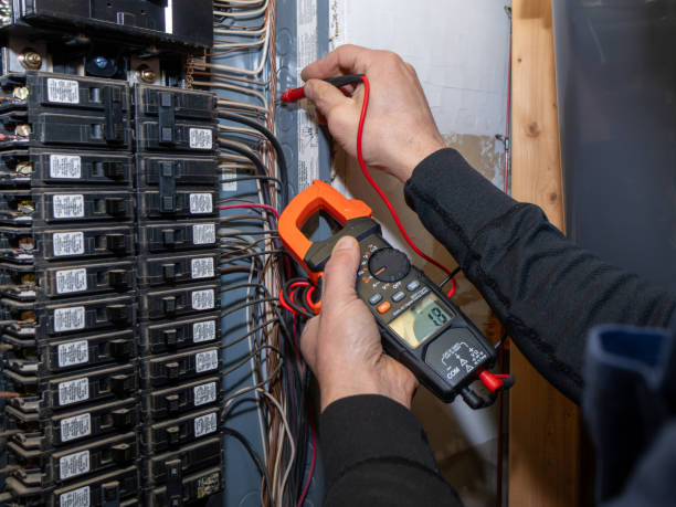 Best Licensed Electrician  in Flushing, MI